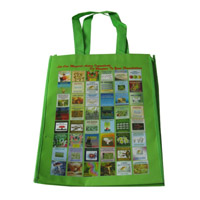 中国台湾省LB11覆膜无纺布广告袋